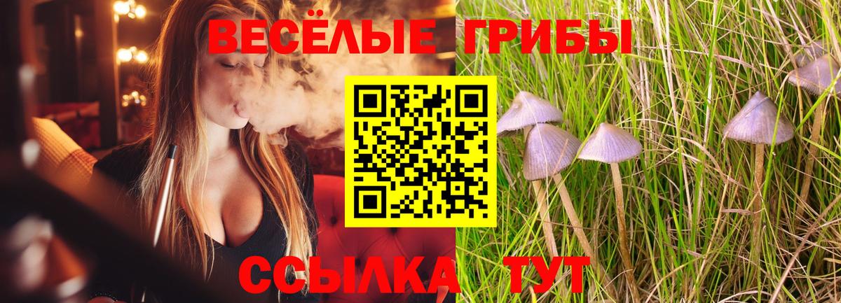 Галлюциногенные грибы мицелий Чебоксары